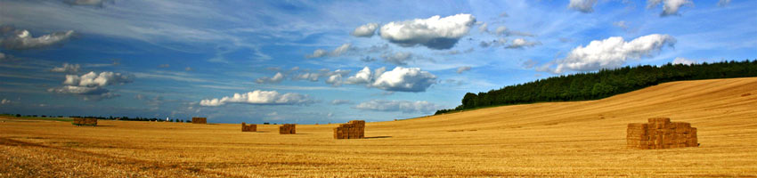 Grace Missions Blog Random Header Image